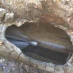 1803_logar